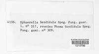 Sphaerella sordidula image